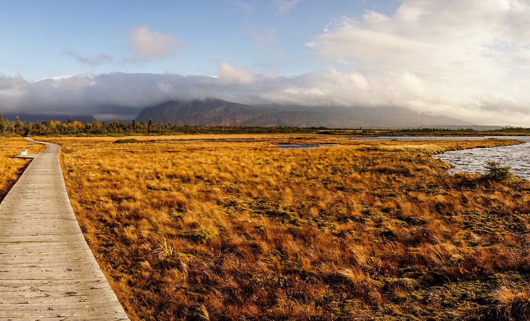 A wooden boardwalk at Gros Morne National Park in Newfoundland, Canada, leading through golden grassy terrain beside a body of water, with mountains and a dramatic cloudy sky in the background.