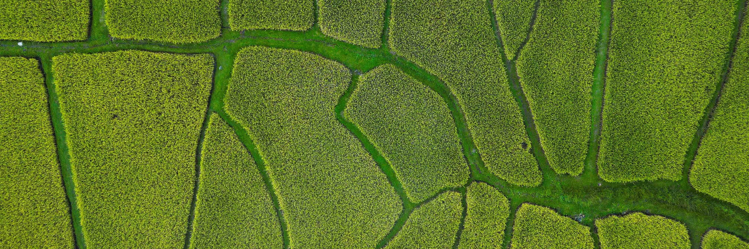 https://bti-global.transforms.svdcdn.com/production/network/canada/images/Natural-environment/Farm-alert-AdobeStock_542092569.jpeg?w=2880&h=960&q=75&auto=format&fit=min&dm=1764250575&s=dc9246abf5680bd9d087a752e7b8e9d3
