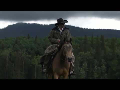 Baker Tilly in Alberta: Who we are