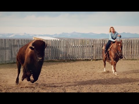 Baker Tilly in Alberta: Built on values that last