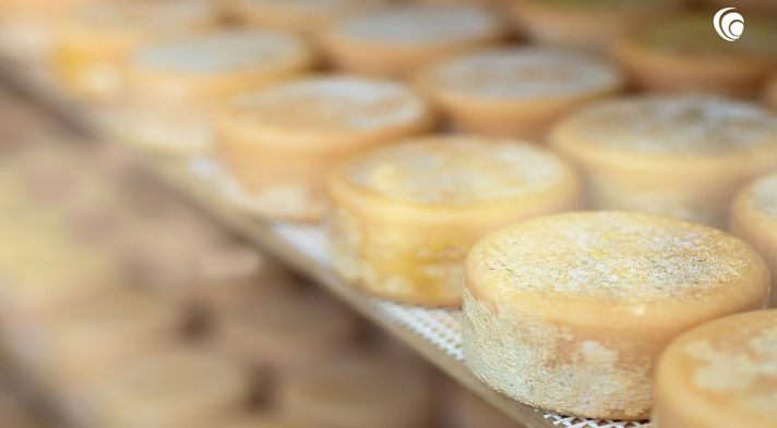 News-BT Corporate Finance advises Galati Cheese on acquisition
