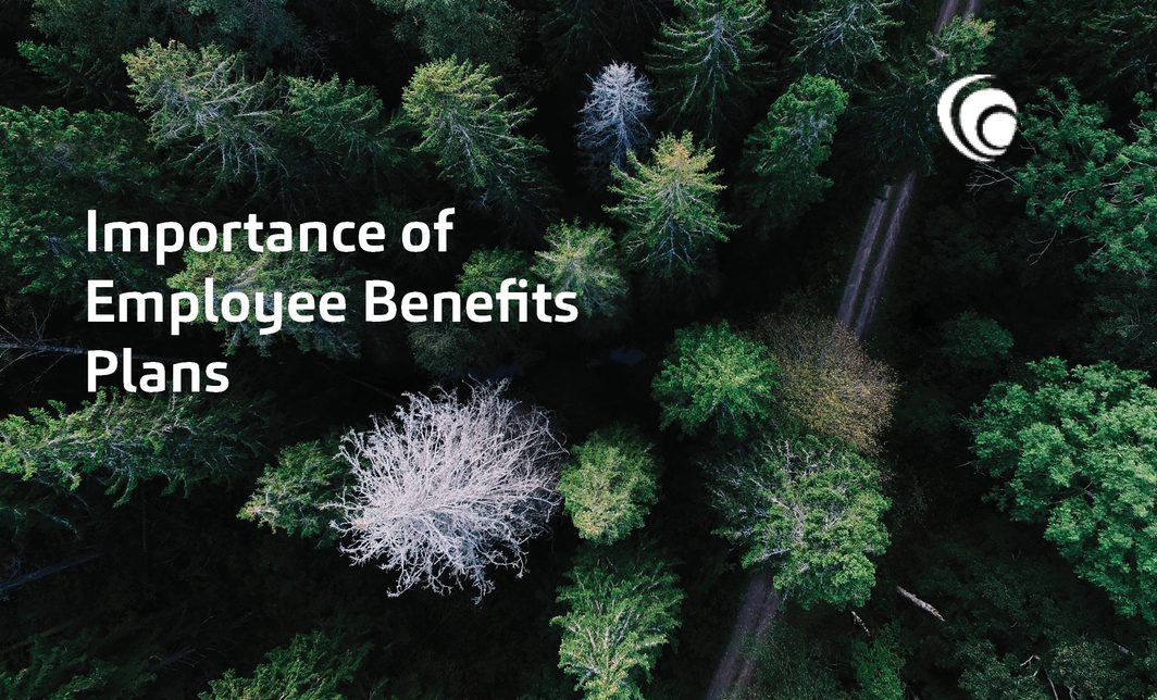 Publications-Importance of Employee Benefits Plans