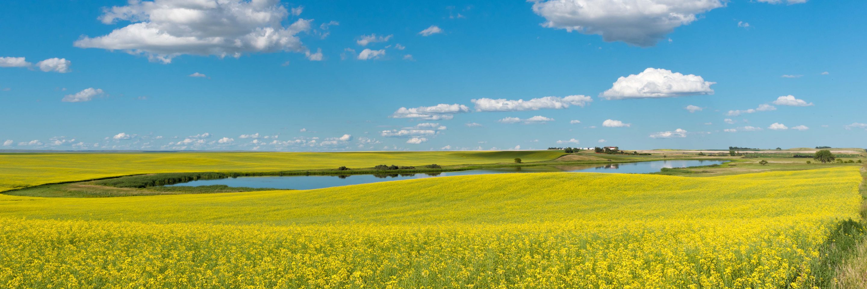 Yorkton