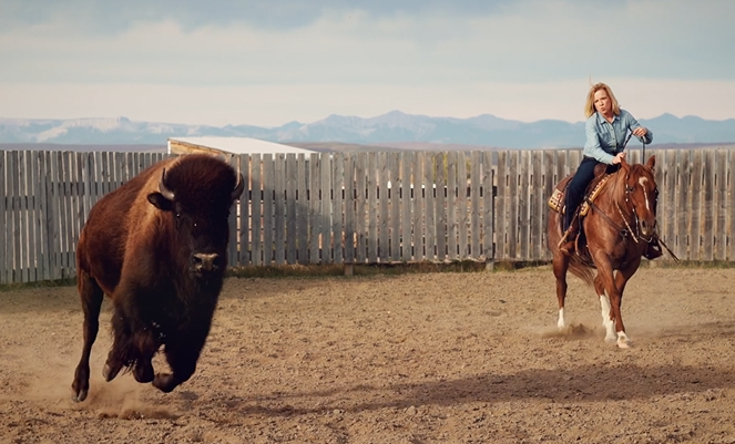 Skilled rider expertly maneuvers horse in dusty corral.