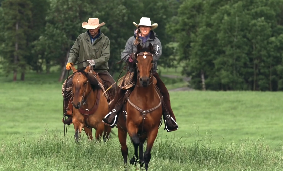 Two riders in cowboy hats enjoy a peaceful horseback ride through lush green pastures.